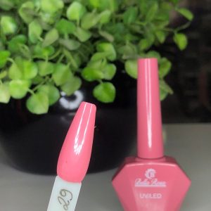 Esmalte em Gel coleção Diamante BELLA ROSA 20ml Cor 29